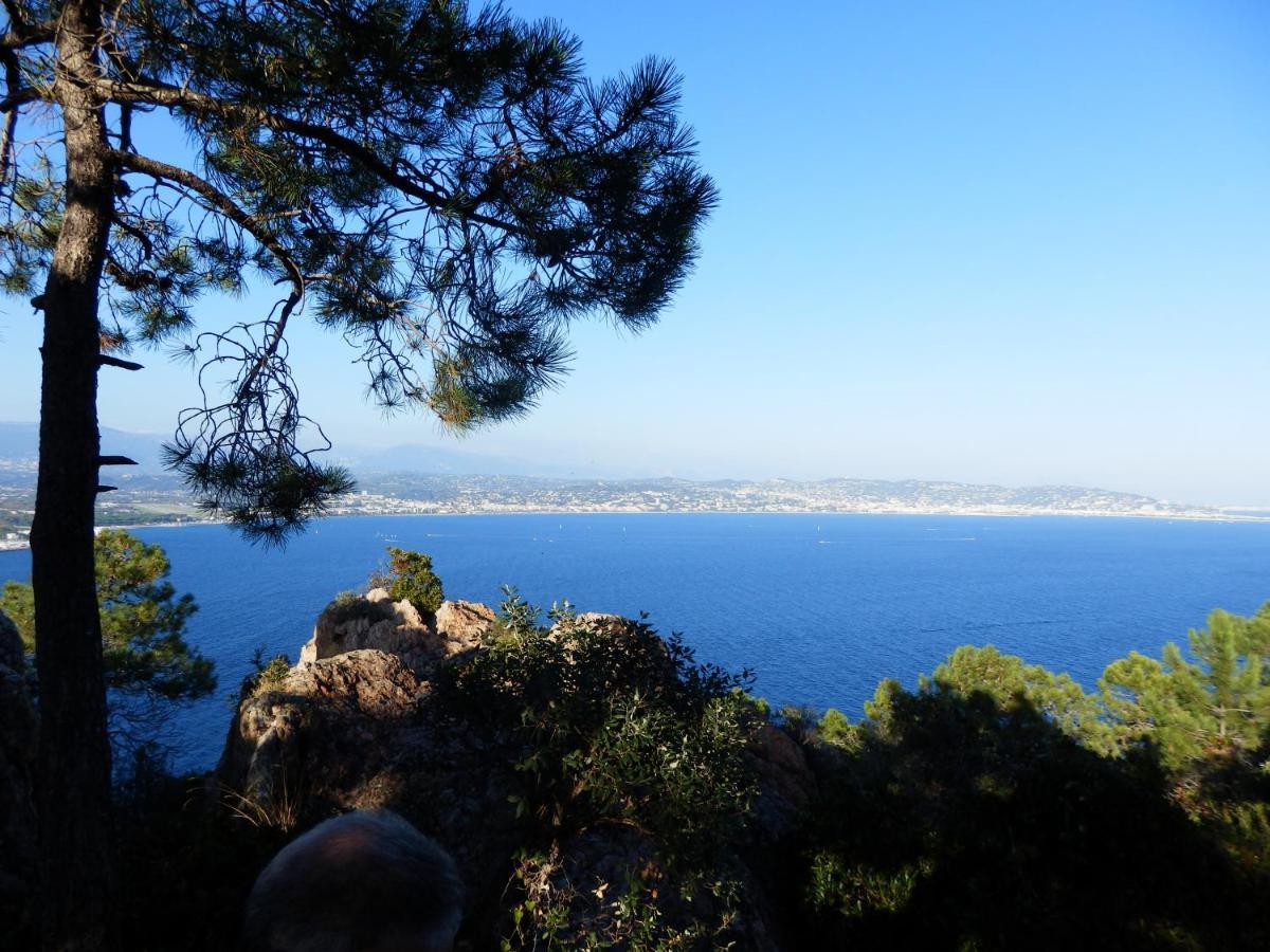 Esterel Terrasses, Roof Top, Plage, Parking Payant Cannes Zewnętrze zdjęcie