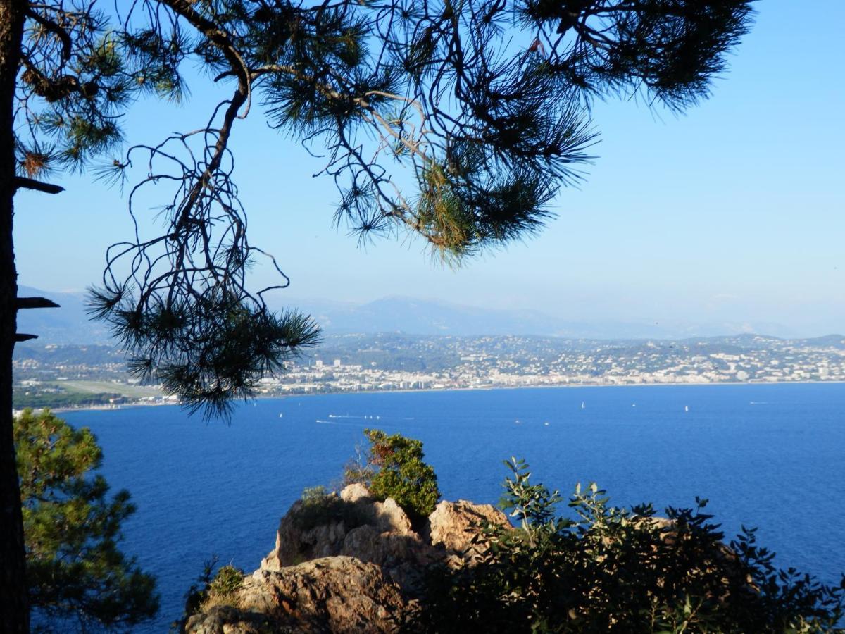 Esterel Terrasses, Roof Top, Plage, Parking Payant Cannes Zewnętrze zdjęcie